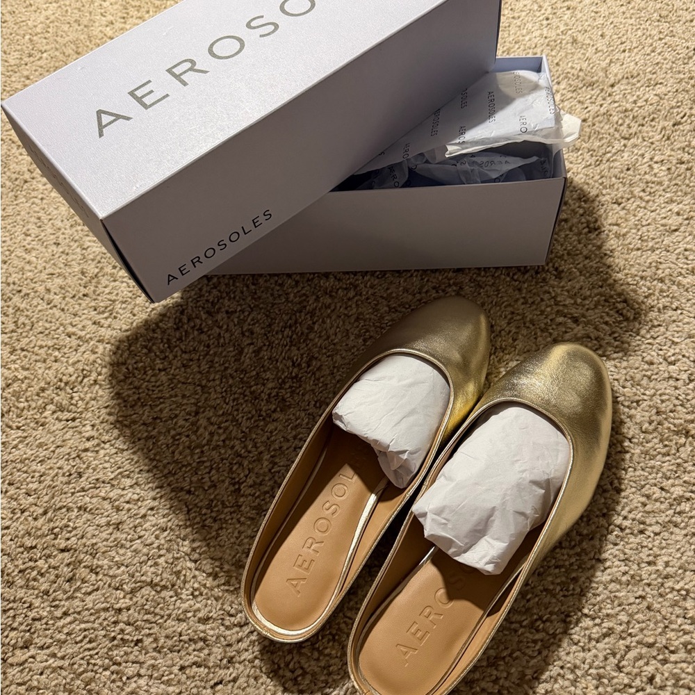 AEROSOLES Gold Flats
